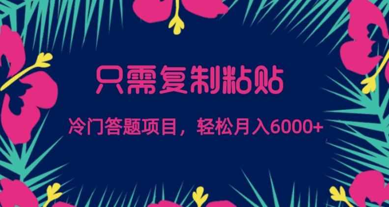 只需复制粘贴，冷门答题项目，轻松月入6000-创新Ovo
