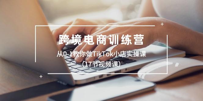 跨境电商训练营：从0-1教你做TikTok小店实操课(17节视频课-创新Ovo