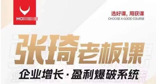 【组合课】张琦张琦老板企业增长·盈利爆破系统（直播专享）-创新Ovo