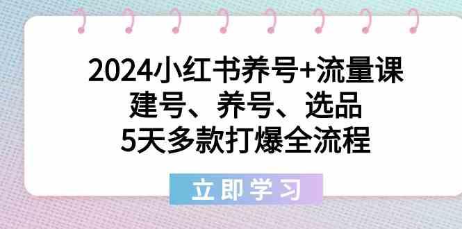 2024小红书养号+流量课：建号、养号、选品，5天多款打爆全流程-创新Ovo