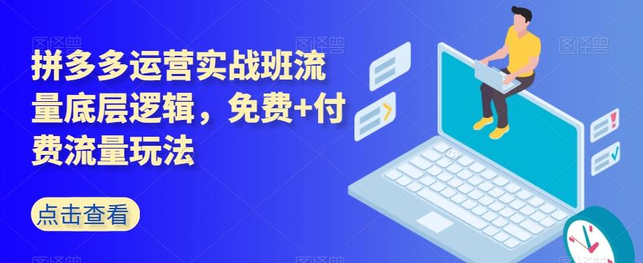 拼多多运营实战班流量底层逻辑，免费+付费流量玩法-创新Ovo