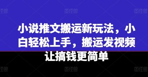 小说推文搬运新玩法，小白轻松上手，搬运发视频让搞钱更简单-创新Ovo