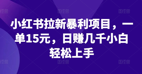 小红书拉新暴利项目，一单15元，日赚几千小白轻松上手【揭秘】-创新Ovo