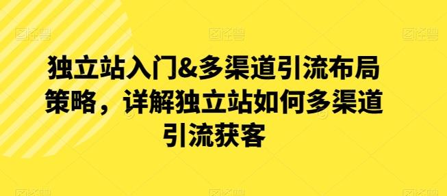 独立站入门&多渠道引流布局策略，详解独立站如何多渠道引流获客-创新Ovo