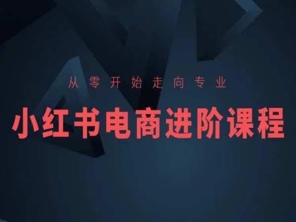 从零开始走向专业，小红书电商进阶课程-创新Ovo