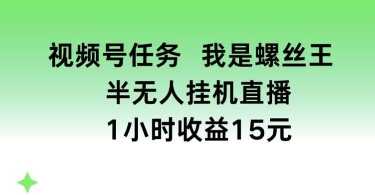 视频号任务，我是螺丝王， 半无人挂机1小时收益15元【揭秘】-创新Ovo