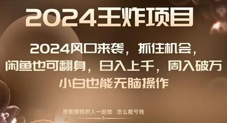 2024风口项目来袭，抓住机会，闲鱼也可翻身，日入上千，周入破万，小白也能无脑操作-创新Ovo