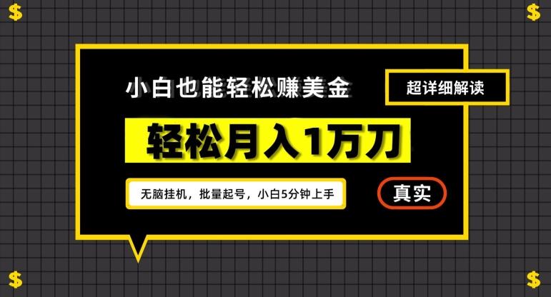 谷歌看广告撸美金2.0，无脑挂机，多号操作，月入1万刀【揭秘】-创新Ovo