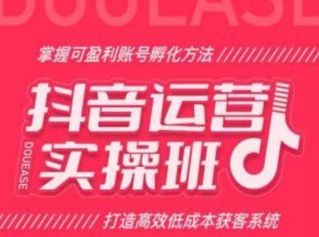抖音运营实操班，掌握可盈利账号孵化方法，打造高效低成本获客系统-创新Ovo