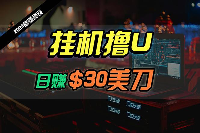 (10013期)日赚30美刀，2024最新海外挂机撸U内部项目，全程无人值守，可批量放大-创新Ovo
