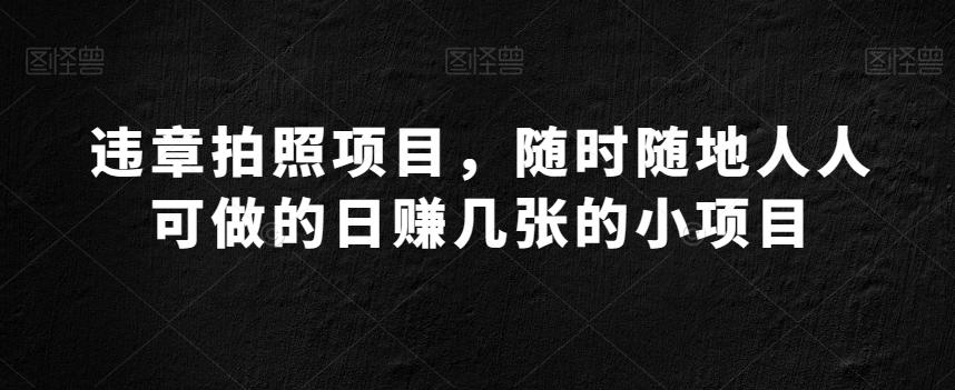 违章拍照项目，随时随地人人可做的日赚几张的小项目-创新Ovo