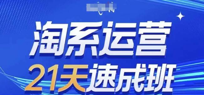 淘系运营21天速成班(更新24年6月)，0基础轻松搞定淘系运营，不做假把式-创新Ovo