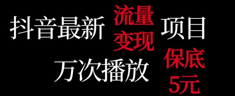 抖音流量变现，万次播放保底5元，额外收入-创新Ovo