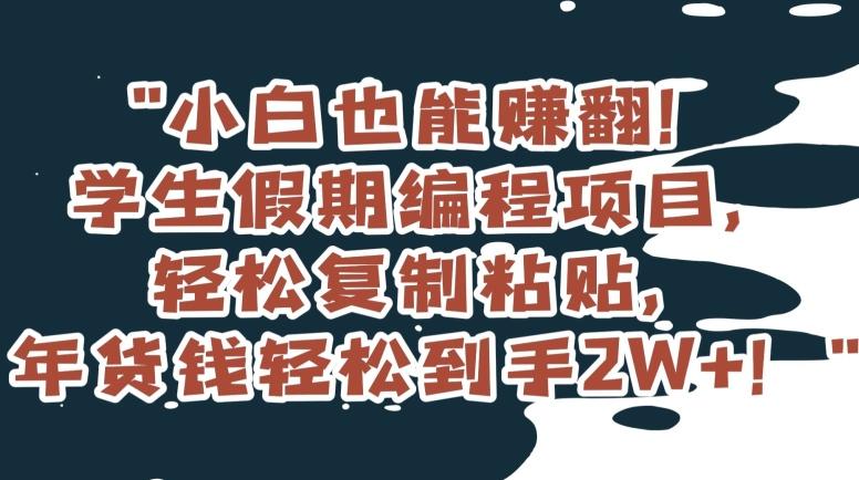 小白也能赚翻！学生假期编程项目，轻松复制粘贴，年货钱轻松到手2W+【揭秘】-创新Ovo
