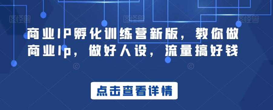 商业IP孵化训练营新版，教你做商业Ip，做好人设，流量搞好钱-创新Ovo