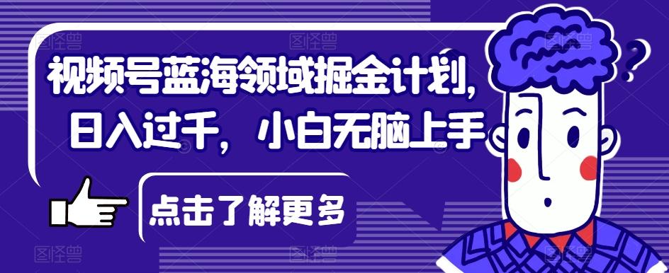 视频号蓝海领域掘金计划，日入过千，小白无脑上手【揭秘】-创新Ovo