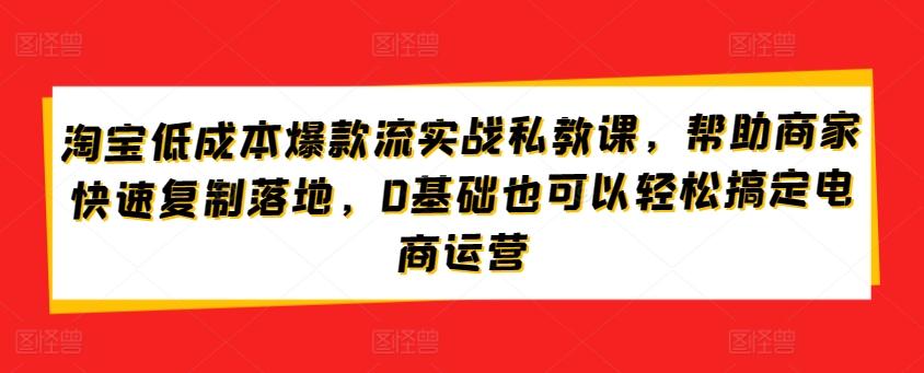 淘宝低成本爆款流实战私教课，帮助商家快速复制落地，0基础也可以轻松搞定电商运营-创新Ovo