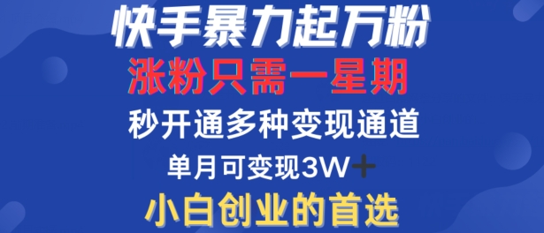 快手暴力起万粉，涨粉只需一星期，多种变现模式，直接秒开万合，单月变现过W【揭秘】-创新Ovo