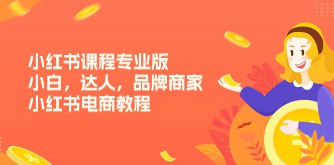 小红书课程专业版，小白，达人，品牌商家，小红书电商教程(15节-创新Ovo