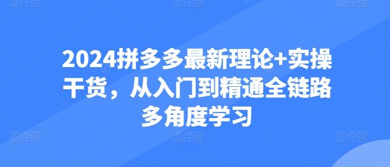 2024拼多多最新理论+实操干货，从入门到精通全链路多角度学习-创新Ovo