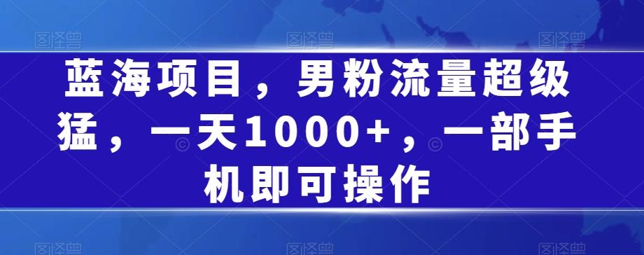 蓝海项目，男粉流量超级猛，一天1000+，一部手机即可操作【揭秘】-创新Ovo