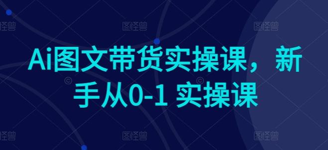 Ai图文带货实操课，新手从0-1 实操课-创新Ovo
