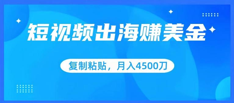 短视频出海赚美金，复制粘贴批量操作，小白轻松掌握，月入4500美刀【揭秘】-创新Ovo