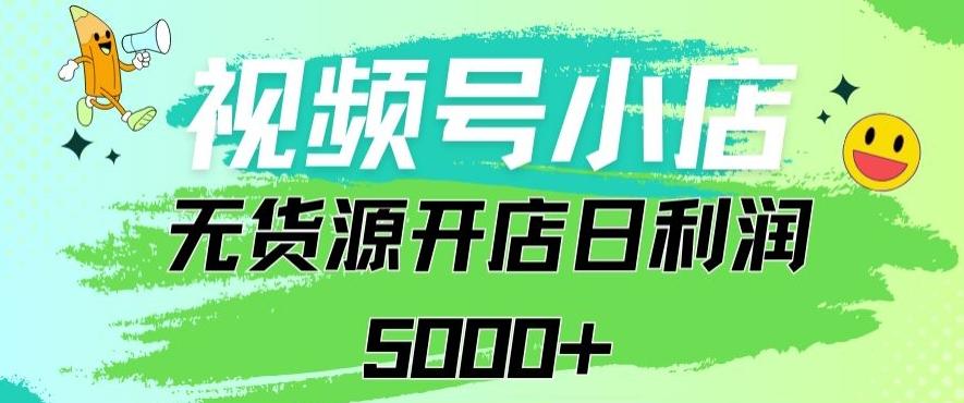 视频号无货源小店从0到1日订单量千单以上纯利润稳稳5000+【揭秘】-创新Ovo