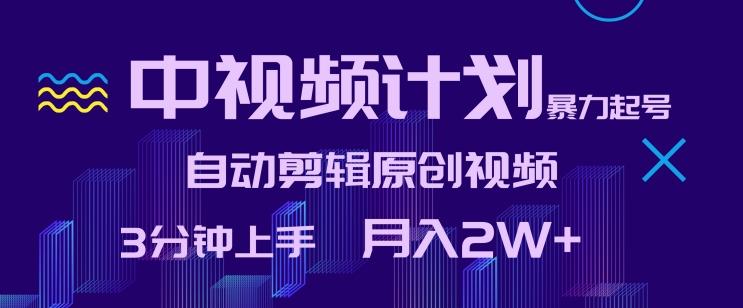 中视频计划暴力起号，自动剪辑原创视频，3分钟上手，月入2W+【揭秘】-创新Ovo