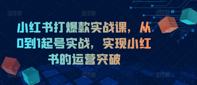 小红书打爆款实战课，从0到1起号实战，实现小红书的运营突破-创新Ovo