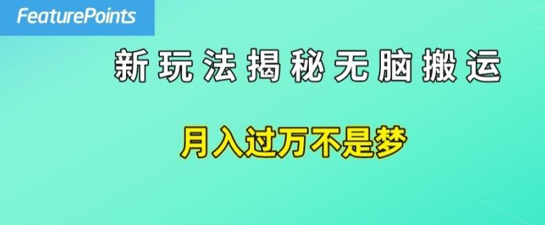 简单操作，每天50美元收入，搬运就是赚钱的秘诀【揭秘】-创新Ovo