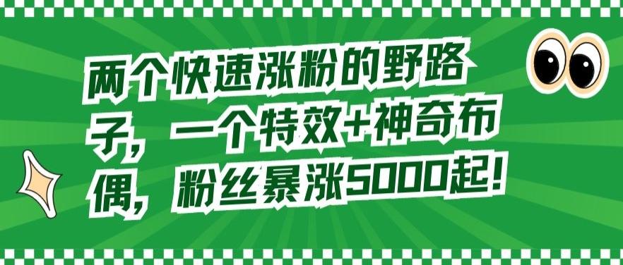 两个快速涨粉的野路子，一个特效+神奇布偶，粉丝暴涨5000起【揭秘】-创新Ovo