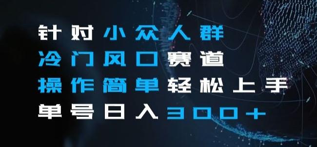 针对小众人群冷门风口赛道，操作简单轻松上手单号日入300+-创新Ovo