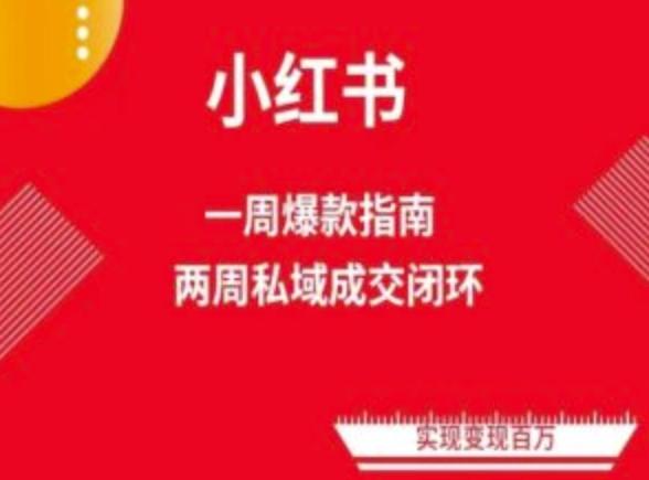 爆款小红书免费流量体系课程(两周变现)，小红书电商教程-创新Ovo