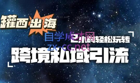 罐西老师·零基础学会跨境私域引流-创新Ovo