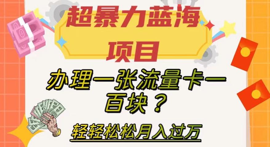 超暴力蓝海项目，办理一张流量卡一百块？轻轻松松月入过万，保姆级教程【揭秘】-创新Ovo