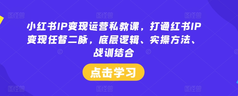 小红书IP变现运营私教课，打通红书IP变现任督二脉，底层逻辑、实操方法、战训结合-创新Ovo