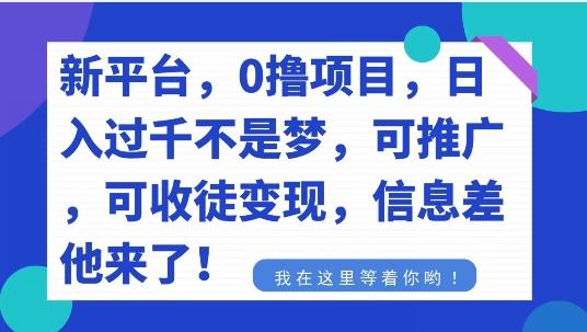 不要再花冤枉钱了，0撸项目，每天坚持，稳定1000+-创新Ovo