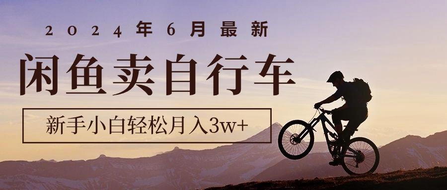 2024年6月最新闲鱼卖自行车，新手小白轻松月入3w+项目-创新Ovo