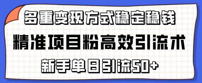 精准项目粉高效引流术，新手单日引流50+，多重变现方式稳定赚钱【揭秘】-创新Ovo