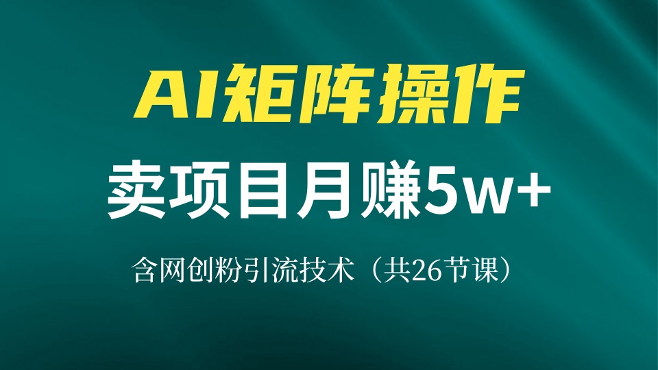网创IP打造课，借助AI卖项目月赚5万+，含引流技术(共26节课-创新Ovo