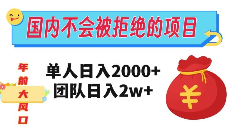 在国内不怕被拒绝的项目，单人日入2000，团队日入20000+【揭秘】-创新Ovo