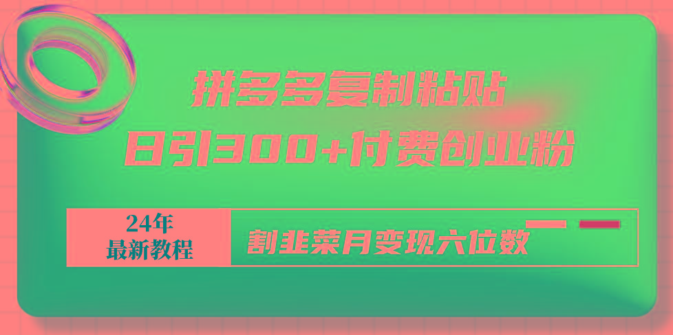 拼多多复制粘贴日引300+付费创业粉，割韭菜月变现六位数最新教程！-创新Ovo