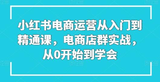小红书电商运营从入门到精通课，电商店群实战，从0开始到学会-创新Ovo