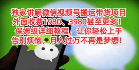 独家讲解微信视频号搬运带货项目，保姆级详细教程-创新Ovo
