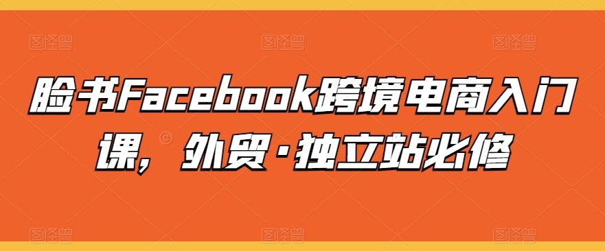 脸书Facebook跨境电商入门课，外贸·独立站必修-创新Ovo