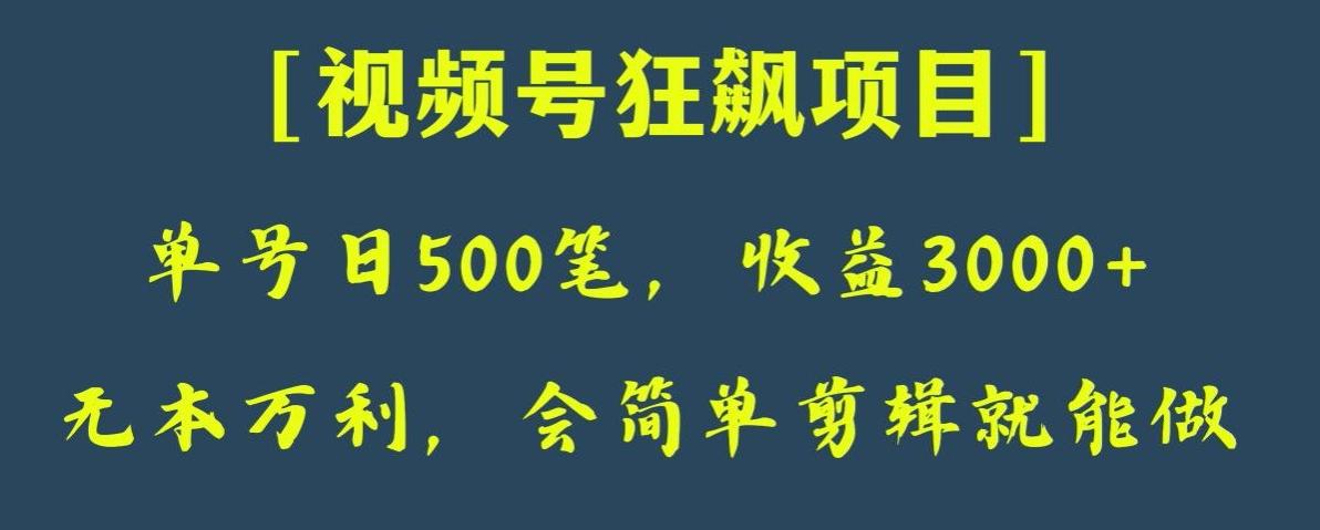 日收款500笔，纯利润3000+，视频号狂飙项目，会简单剪辑就能做【揭秘】-创新Ovo