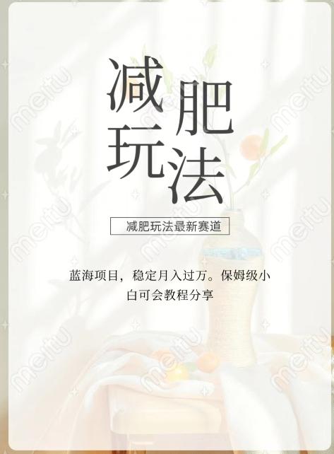 减肥流量主新玩法，轻松月入1W，可矩阵操作收入翻倍-创新Ovo