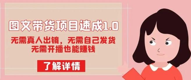 图文带货项目速成1.0：无需真人出镜，无需自己发货，无需开播也能赚钱！-创新Ovo