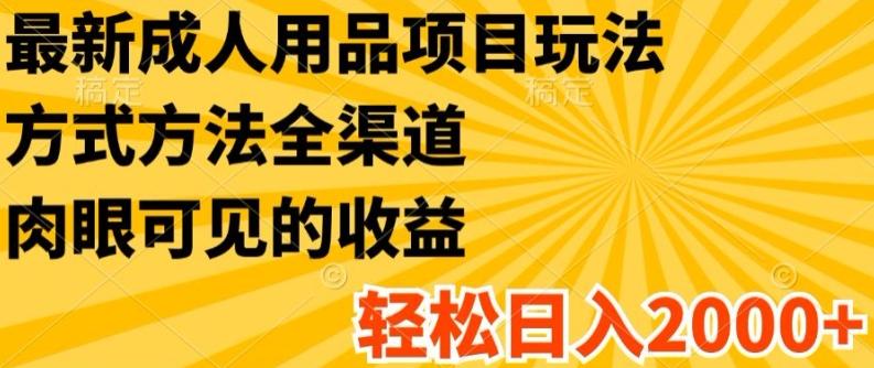 最新成人用品项目玩法，方式方法全渠道，轻松日入2K+【揭秘】-创新Ovo
